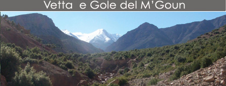 Costa altlantica